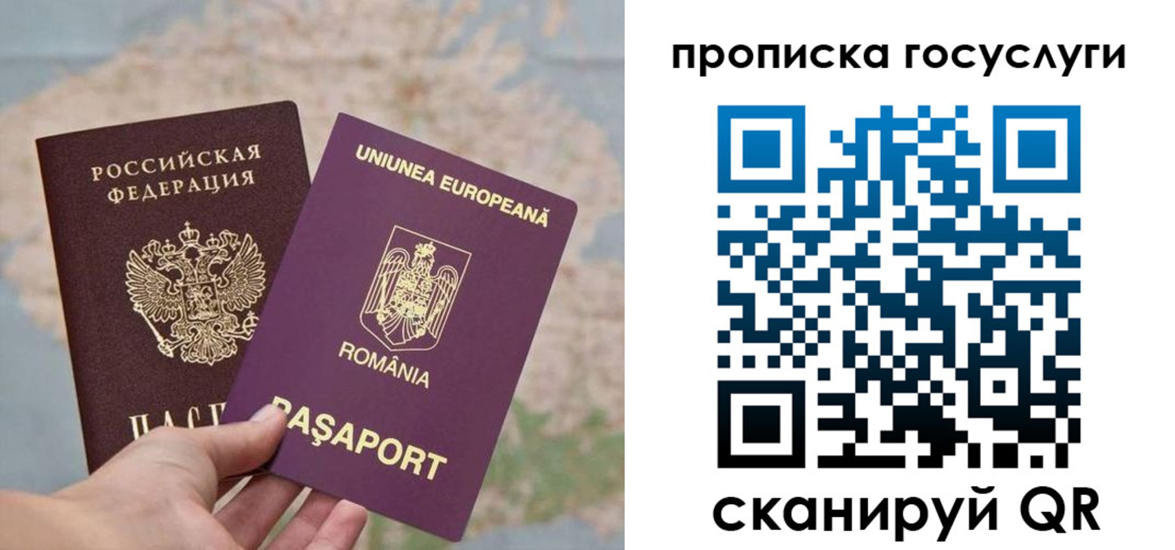 прописка паспорт в Алтайском крае